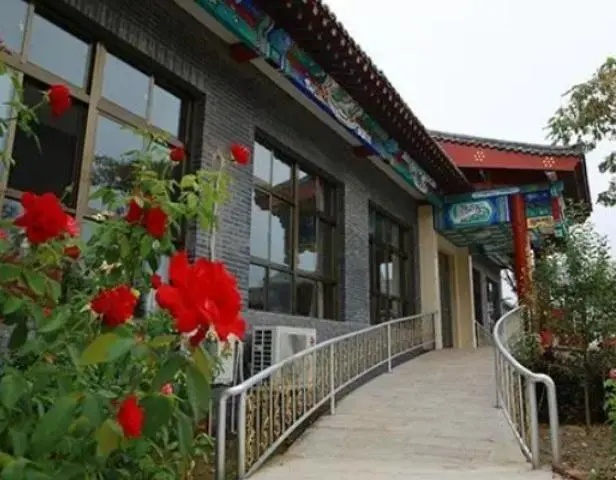 爱丽斯2.jpg