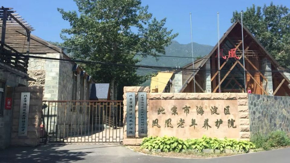 北京市海淀区凤凰老年养护院