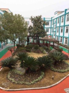 北蔡镇莲溪养护院