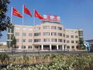 宝龙养老院